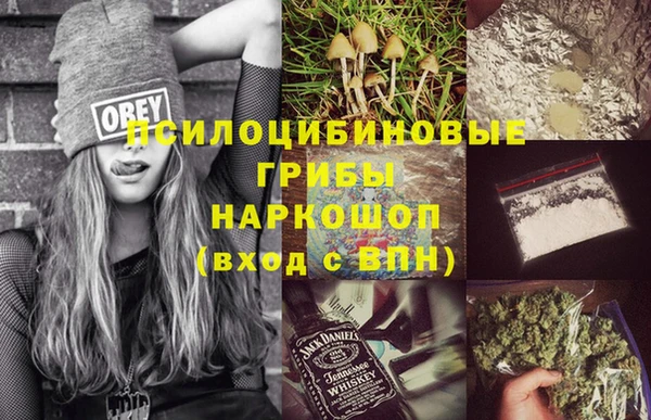 шишки Алексеевка