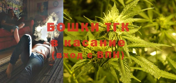 шишки Алексеевка