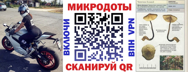 Галлюциногенные грибы Cubensis  блэк спрут зеркало  Богородицк  хочу наркоту 